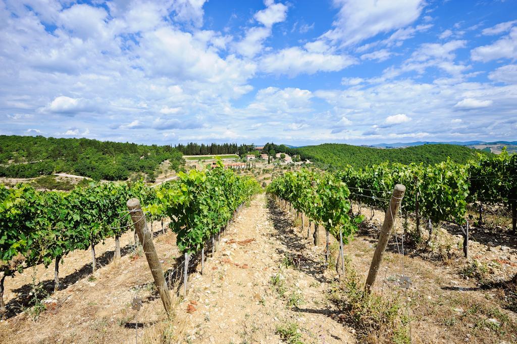 Querceto Di Castellina Farm stay