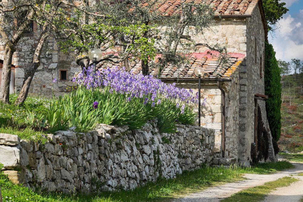 Querceto Di Castellina *