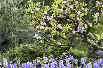 Farm stay Querceto Di Castellina *